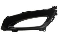 Ventilatiegrille, bumper 6502073221915P