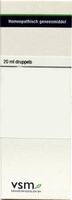 VSM Harpagophytum procumbens D12 (20 ml)