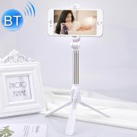 XT10 multifunctionele mobiele live-uitzending Bluetooth zelfontspanner Pole statief (wit)