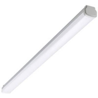 Philips LED Ledinaire WT060C L1200 LED-lamp voor vochtige ruimte LED LED vast ingebouwd 20 W Neutraalwit Grijs, Wit
