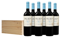 Bodegas Diaz Bayo 8 Meses Ribera del Duero Kist