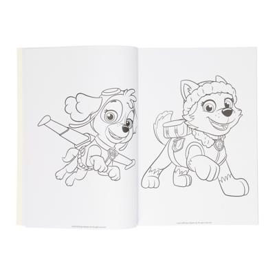 Wins Holland Kleurboek paw patrol, 128blz.