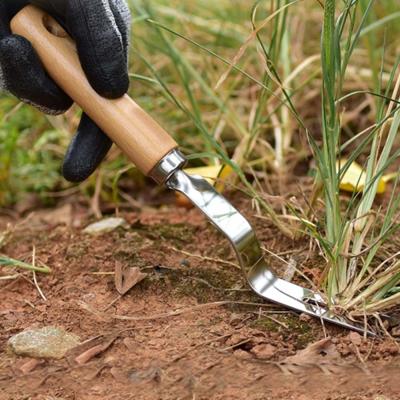 Dikke roestvrijstalen Weeder houten handvat wortel picking tool