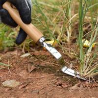 Dikke roestvrijstalen Weeder houten handvat wortel picking tool