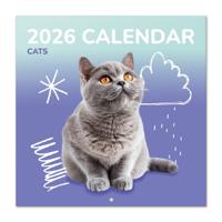 Katten Kalender 2026