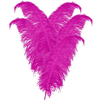 Carnaval verkleed veer/struisvogelveren - 20x - roze - 50 cm - Carnaval - Sierveren/charleston veren
