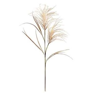 Pampas Grass Spray - crème - 134 cm - Leen Bakker