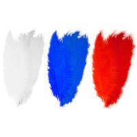 6x stuks grote veer/struisvogelveren 2x wit 2x blauw en 2x rood van 50 cm - thumbnail