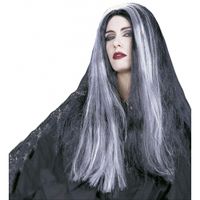 Heksenpruik met lang grijs/zwart haar - thumbnail