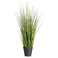 Grass Bush in pot - 53 cm - Leen Bakker - thumbnail