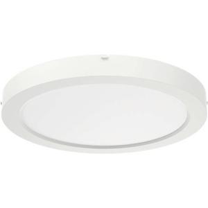 RIDI 332094 332094 LED-plafondlamp LED Wit