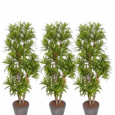 Kunstplant Groene Dracaena reflexa - 3x - H120 cm - voor binnen - nepplant - binnenplant