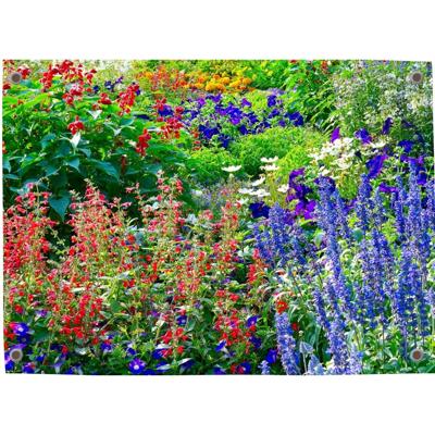 Tuinposter Tuin 8 - Pillow Buddies