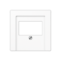 Jung inzetplaat USB luidspreker A569PLTWW