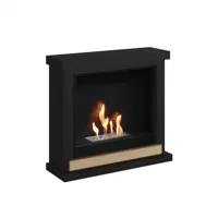 Hagen Zwarte Bio-ethanol open haard