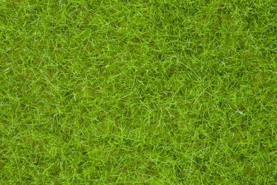 Noch 07092 Wildgras lichtgroen, 6 mm, 100 gram Noch 07092 Wildgras lichtgroen, 6 mm, 100 gram