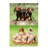 2x Dieren magneten 3D honden