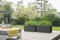 Bloempot Vivo Next Lang 80cm living black elho - Elho