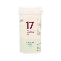 Manganum sulfuricum 17 D6 Schussler 400 Tabletten