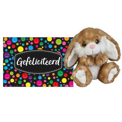 Pluche knuffel cadeau Konijn 18 cm met A5-size Gefeliciteerd wenskaart