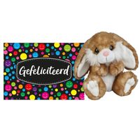 Pluche knuffel cadeau Konijn 18 cm met A5-size Gefeliciteerd wenskaart - thumbnail