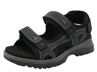 Waldläufer Taro Waldläufer Taro