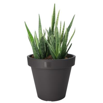 Pro Garden Bloempot - antraciet - rond - D20 cm - kunststof - plantenpot - tuin buiten