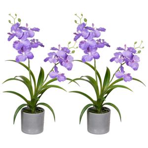 Orchidee bloemen kunstplant in bloempot - 2x - paars bloemen - H38 cm