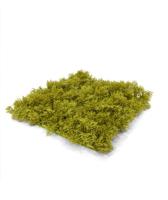 Rendier kunst Mosmat 25x25cm - groen - FR - brandvertragend