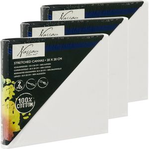 6x Canvas schildersdoeken 20 x 20 cm voor hobby verven/schilderen