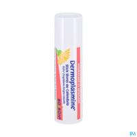 Boiron Dermoplasmine Calendula Lipstick 4g