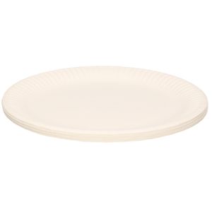 60x Witte bordjes van karton rond 23 cm