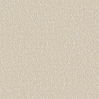 Dutch Wallcoverings Santa Fé Natures Weave - Beige