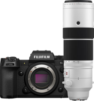 Fujifilm X-H2S + XF 150-600mm f/5.6-8