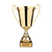 Trofee bedrukken - Goud
