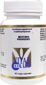 Mucuna pruriens