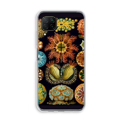 Haeckel Ascidiae: Huawei P40 Lite Transparant Hoesje