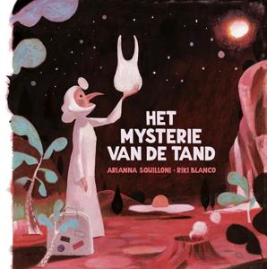 Het mysterie van de tand (Hardback)