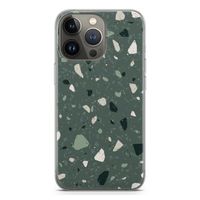 Terrazzo N°19: iPhone 13 Pro Transparant Hoesje