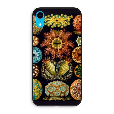 Haeckel Ascidiae: iPhone XR Biologisch afbreekbaar hoesje