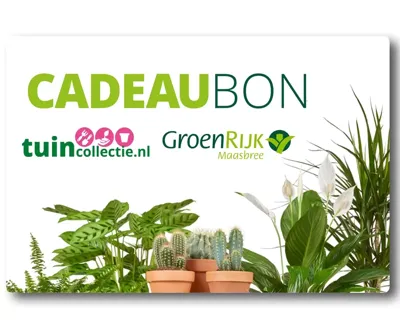 Digitale Cadeaubon ''Gefeliciteerd!''