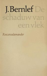 Schaduw van een vlek - J. Bernlef - ebook