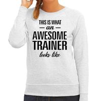 This is what an awesome trainer looks like cadeau sweater / trui grijs dames - thumbnail