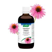 Echinaforce druppels 100 Milliliter