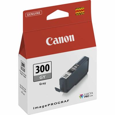 Originele inktcartridge Canon 4200C001 Grijs