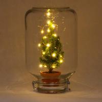 Easyplant - Christmas - Kerst decoratie - ↕ 28 cm