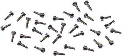 TRUVATIV Spare pins f. pedals 32pcs.