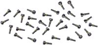 TRUVATIV Spare pins f. pedals 32pcs.