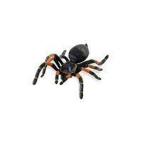 Nep tarantula spin