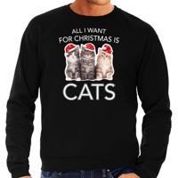 Katten Kitten Kersttrui sweater - All I want for Christmas is cats - zwart - voor heren - Kleding